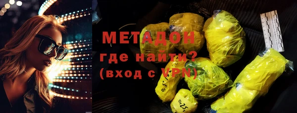 хмурый Аркадак