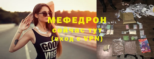 хмурый Аркадак