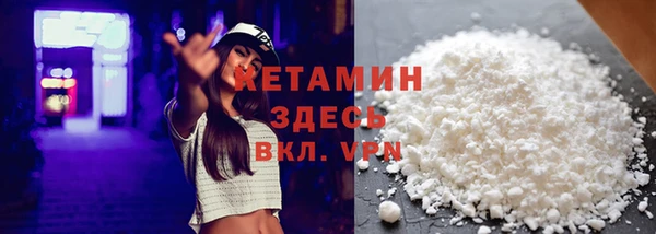 хмурый Аркадак