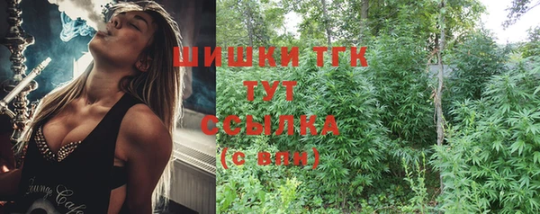 PSILOCYBIN Алзамай