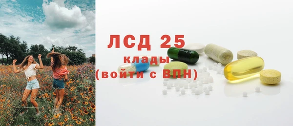 хмурый Аркадак