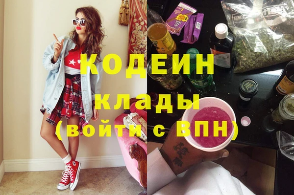хмурый Аркадак