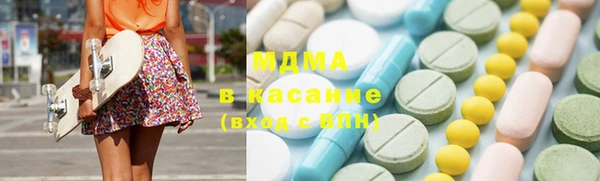 хмурый Аркадак
