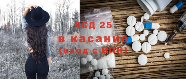 хмурый Аркадак