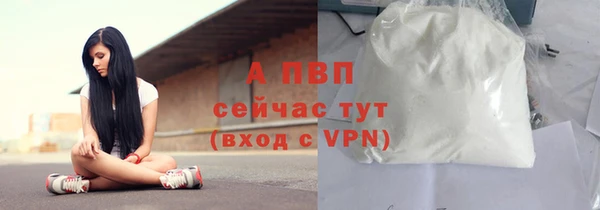 соль ск Арсеньев