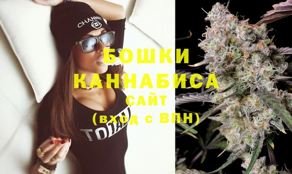 хмурый Аркадак