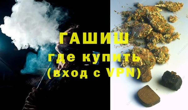 хмурый Аркадак