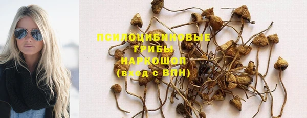 соль ск Арсеньев