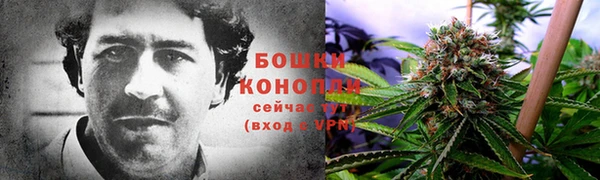 соль ск Арсеньев