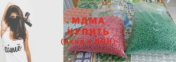 хмурый Аркадак