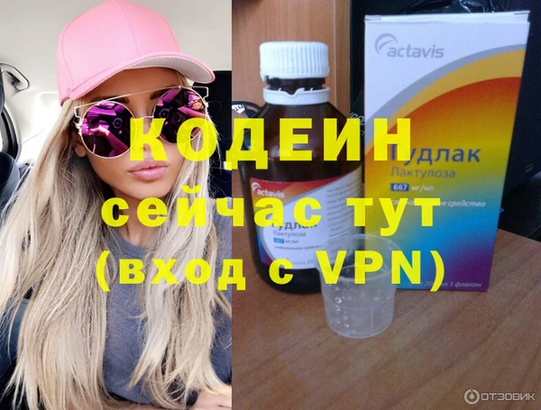 хмурый Аркадак